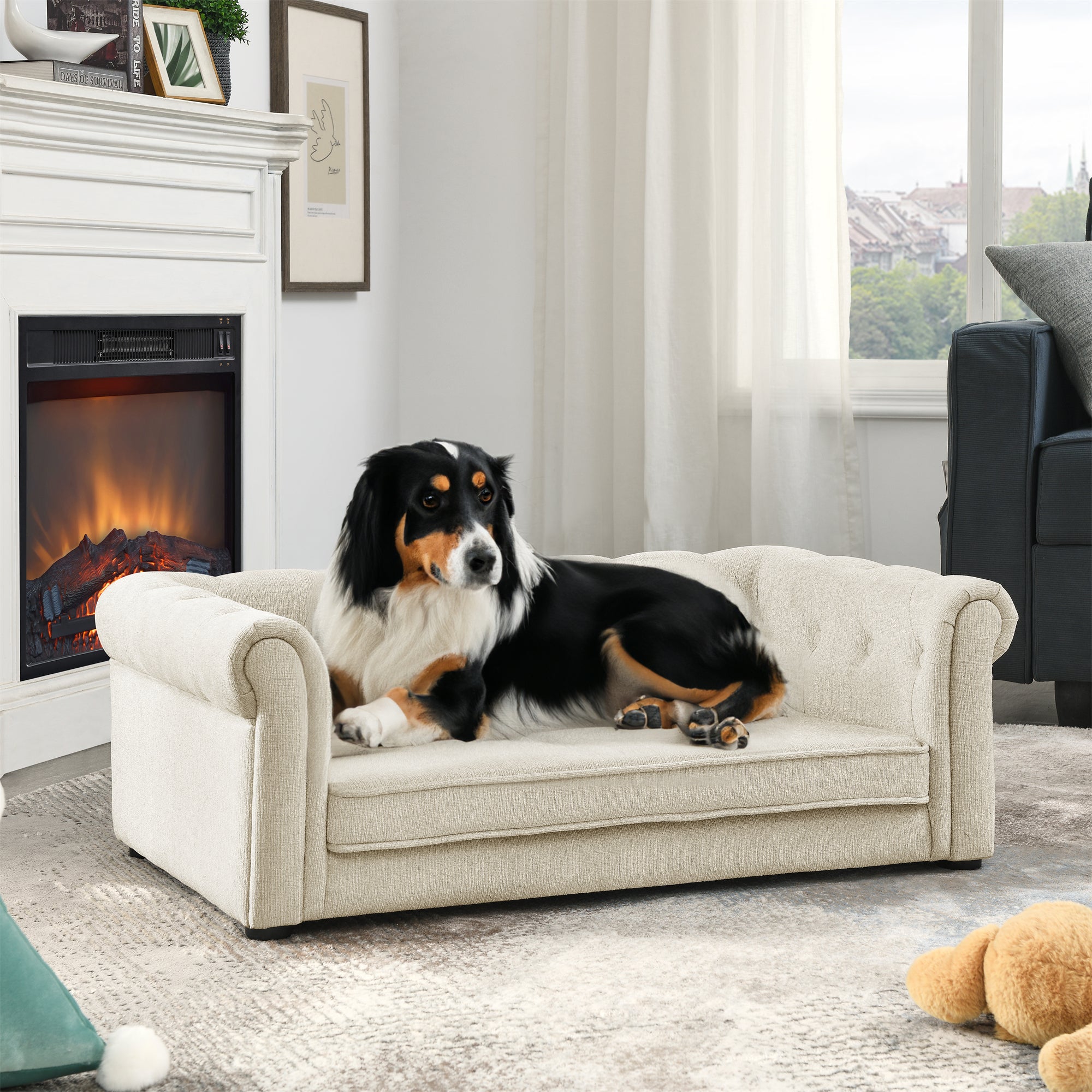 Modern Elegant Rectangle Elevated Pet Bed