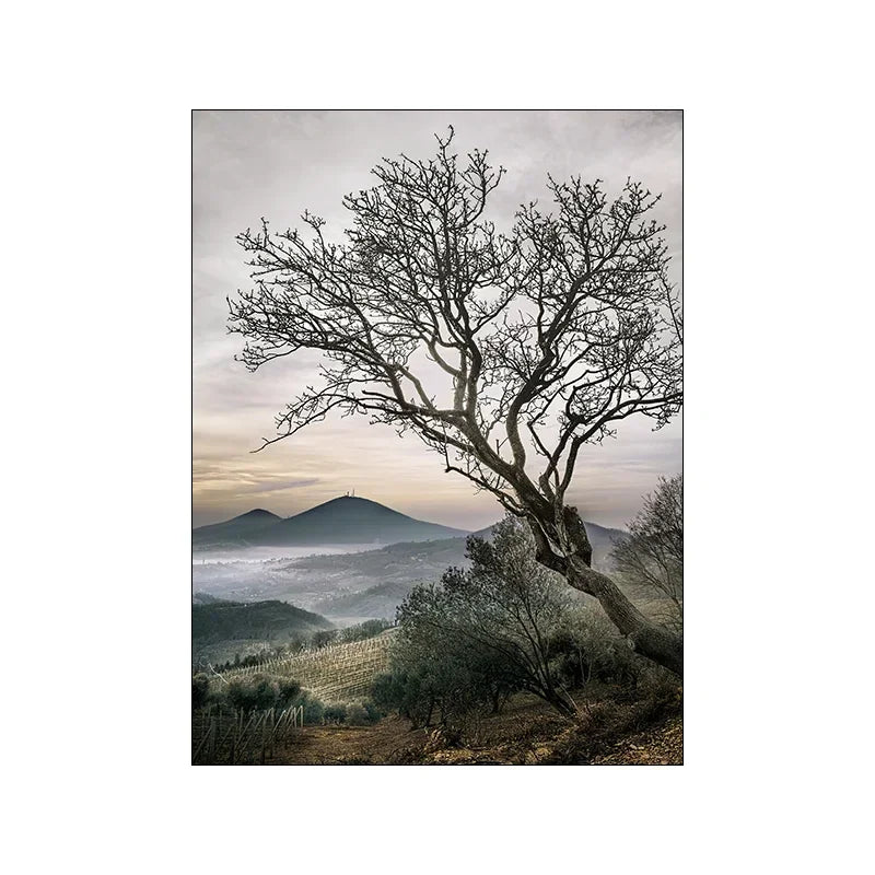 Nature Landscape Silk Painting Nordic Modern Wall Art for Living Room